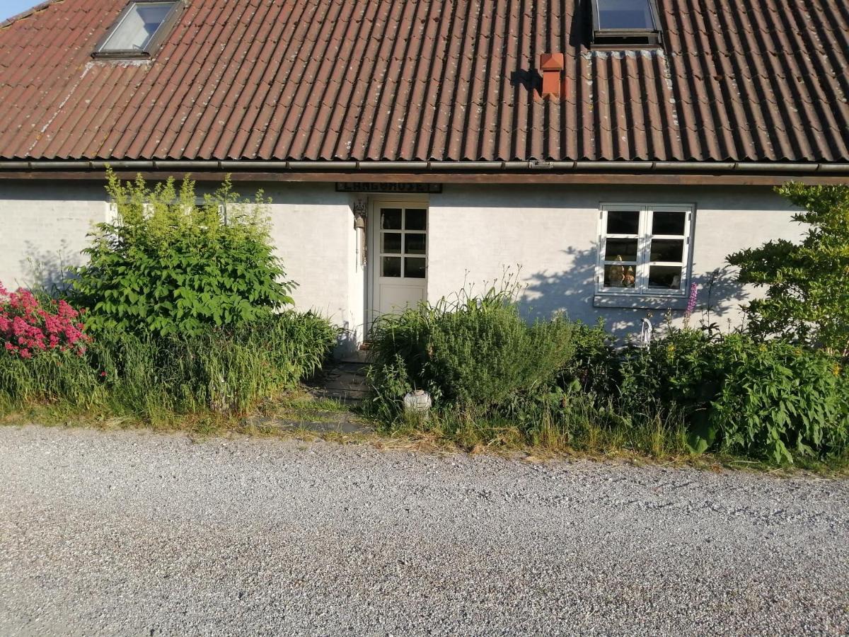 Ferienwohnung Langohuset Langebæk Exterior foto